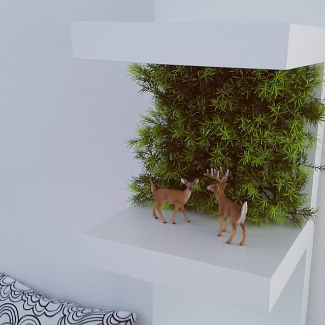 runayucoさんの実例写真
