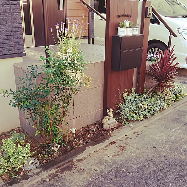 Nahoさんの実例写真