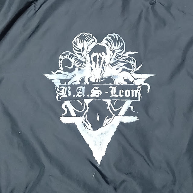 Leonさんの実例写真
