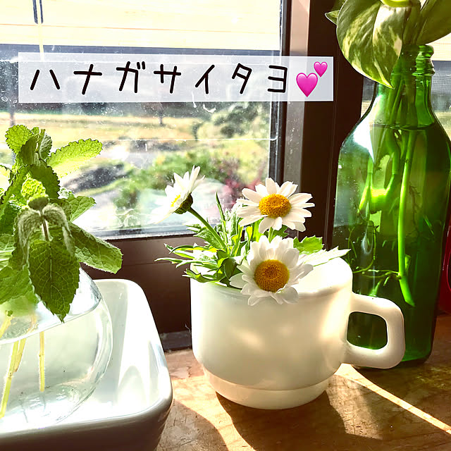 AOIさんの実例写真