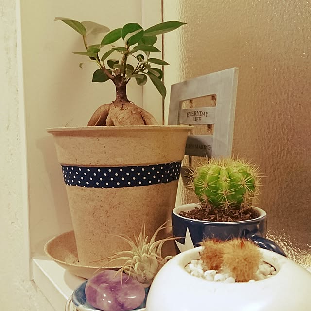 makkiiさんの実例写真