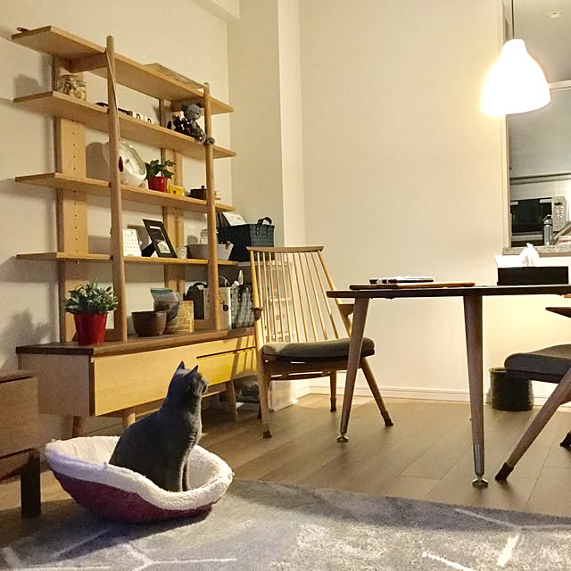 vodkaさんの実例写真