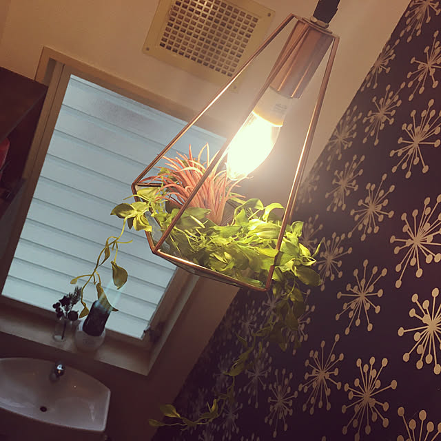 RoomClipアンケート/DIY/100均/セリア/フェイクグリーン...などのインテリア実例 - 2019-12-21 20:05:44