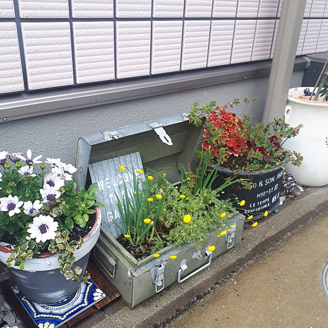 m.coccoさんの実例写真