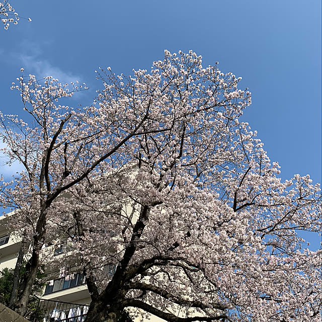 syutmmさんの部屋
