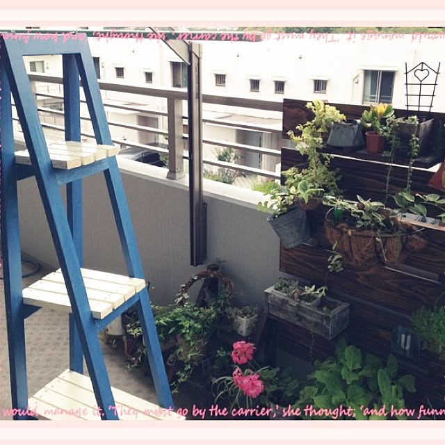 ma_saruさんの実例写真