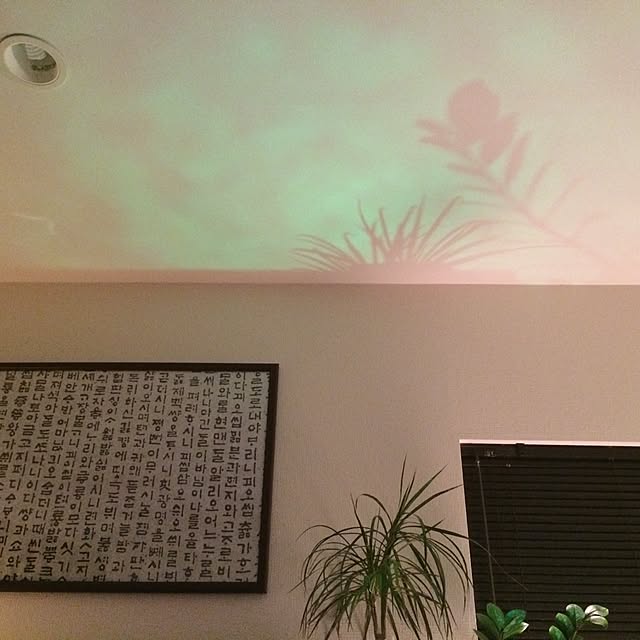 Hajimeさんの実例写真