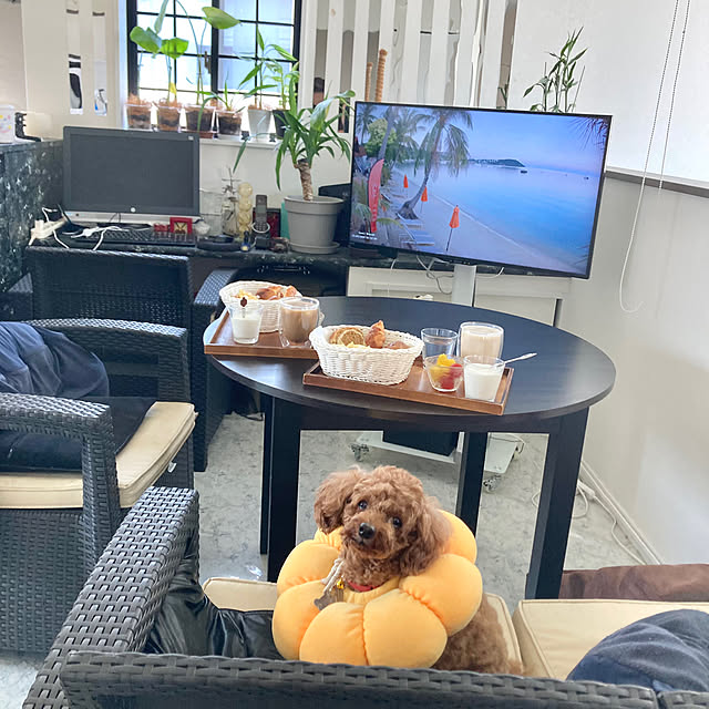 MOMOMAMAさんの実例写真