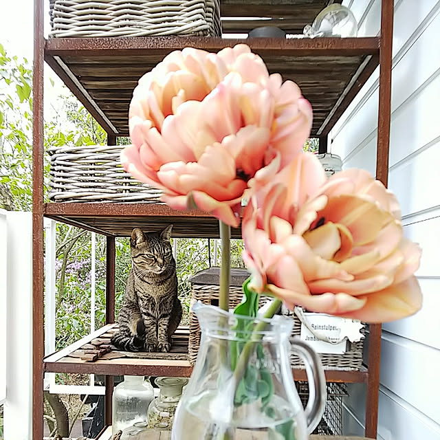 weさんの実例写真