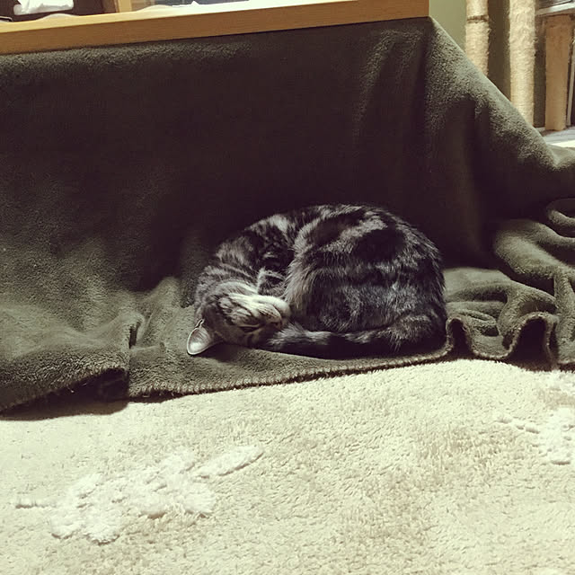 richanさんの実例写真