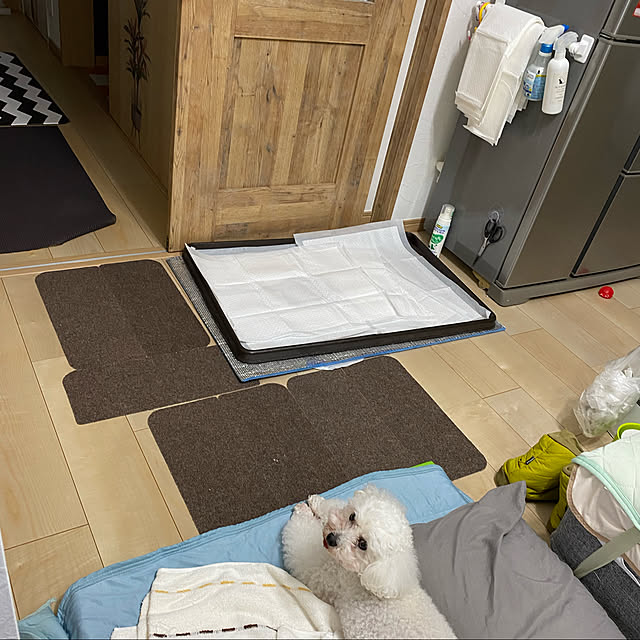 Annieさんの実例写真