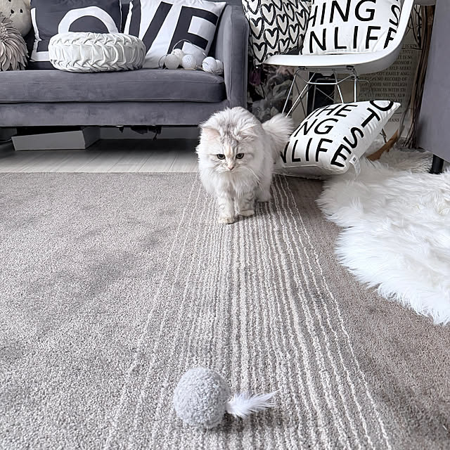 mya___kさんの実例写真