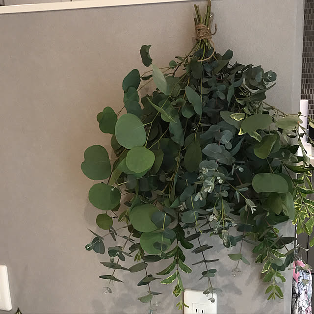 chachaharuloveさんの実例写真