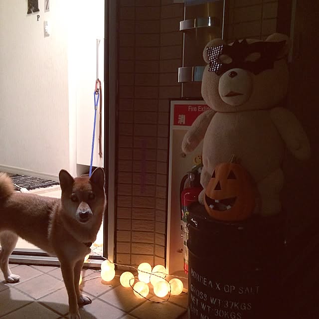 umeさんの実例写真