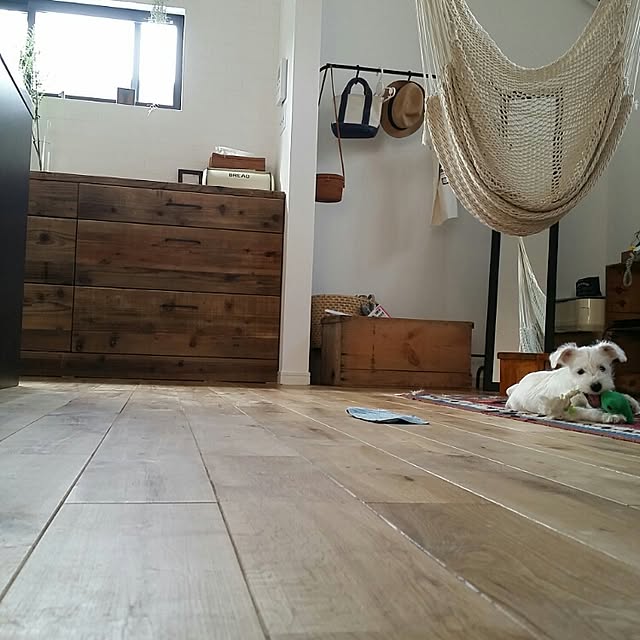 Kaoriさんの実例写真