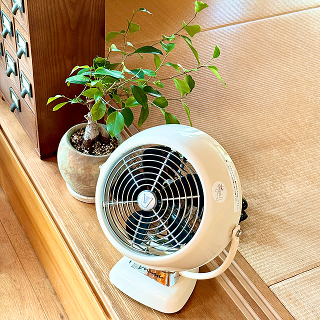 yukariさんの部屋