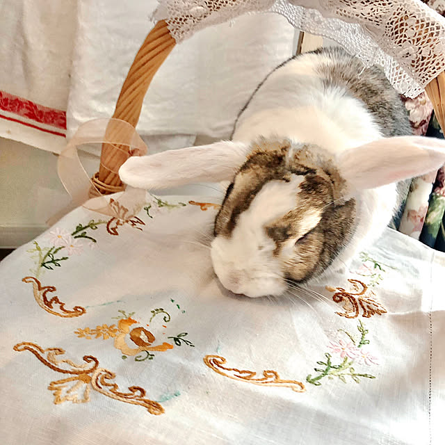 Hatsuneさんの部屋