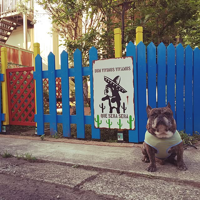 Kyonさんの実例写真