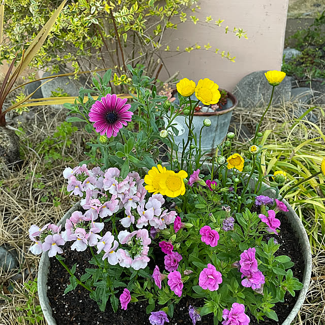 Andaluciaさんの実例写真