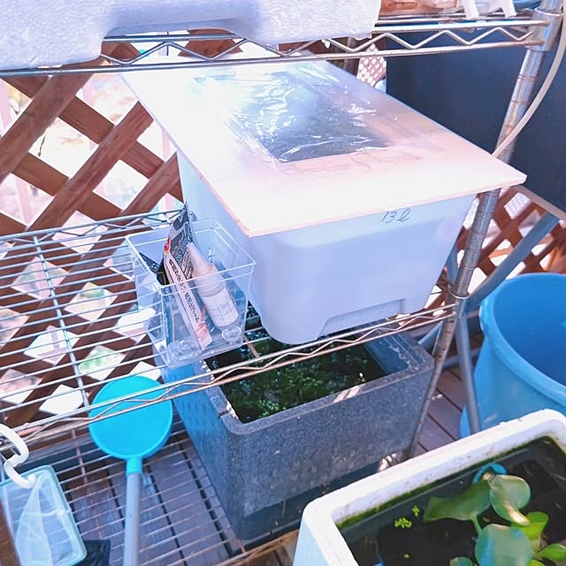 mariaさんの部屋