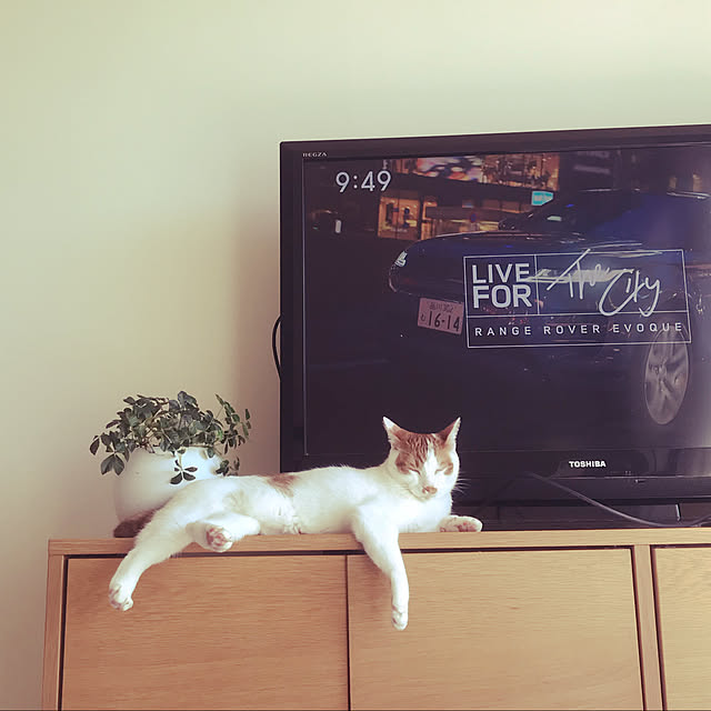Yuuさんの部屋
