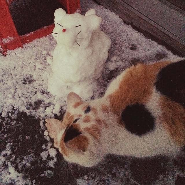 meeeeeeeeeiさんの実例写真