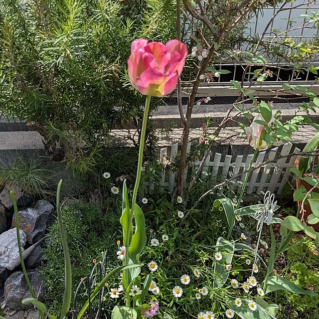 Ruii25さんの実例写真