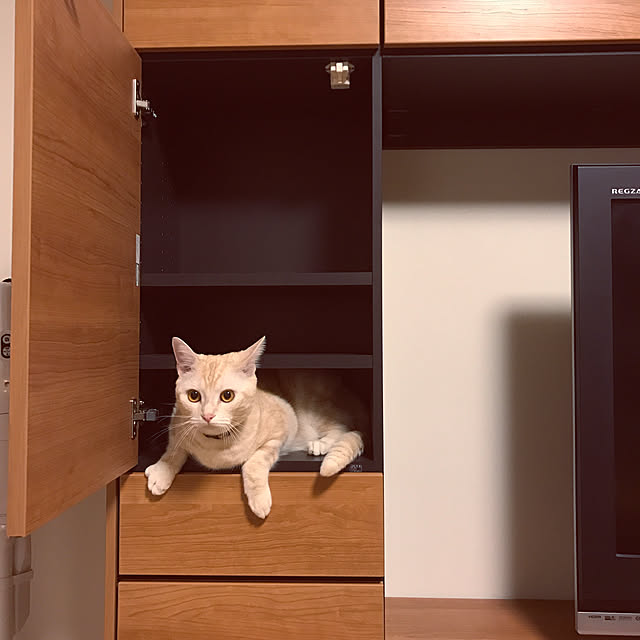 hiyupan88さんの実例写真