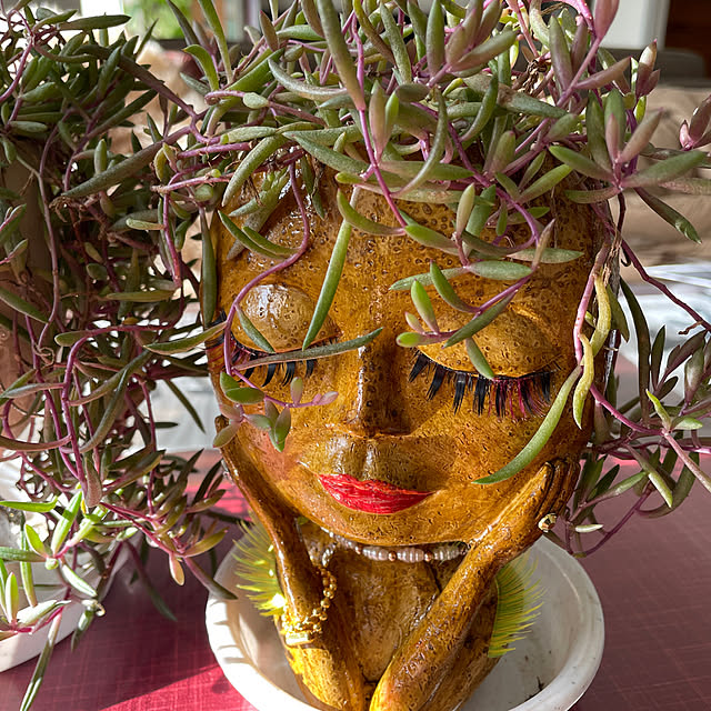 ariari0527さんの実例写真