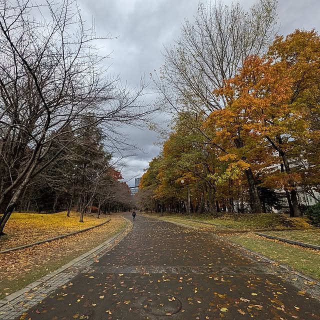 botanさんの部屋