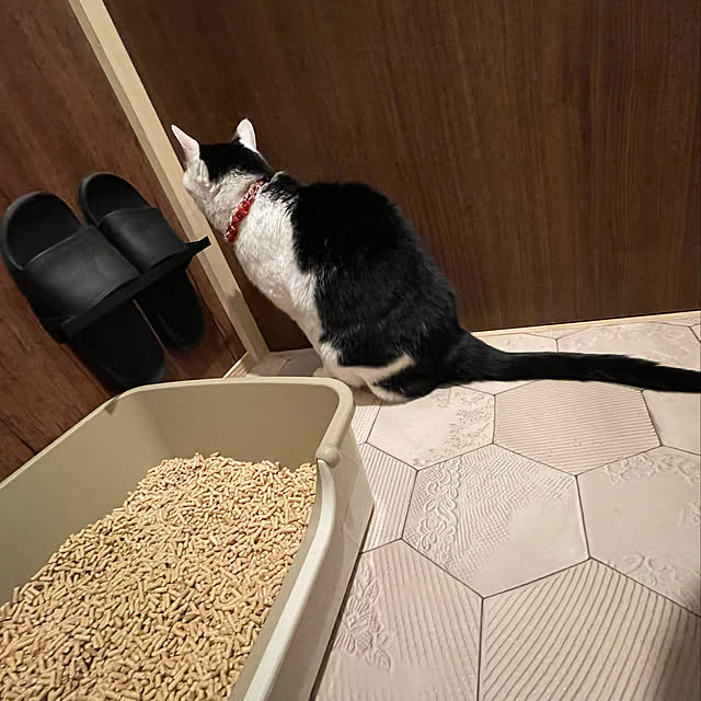 nekosamaさんの実例写真
