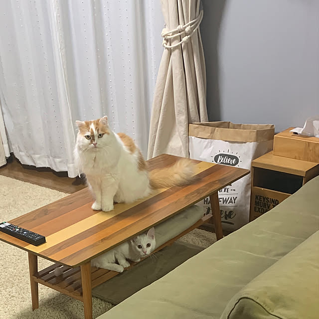 keiさんの実例写真