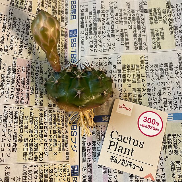 momonさんの実例写真
