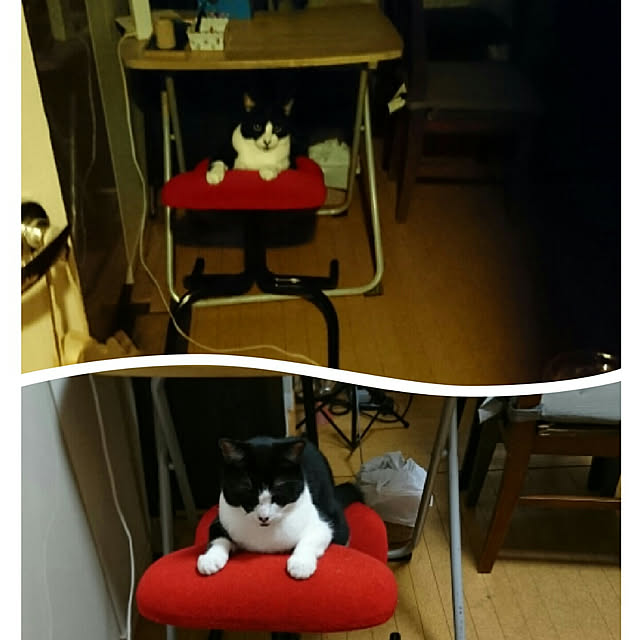 okyosan101さんの実例写真