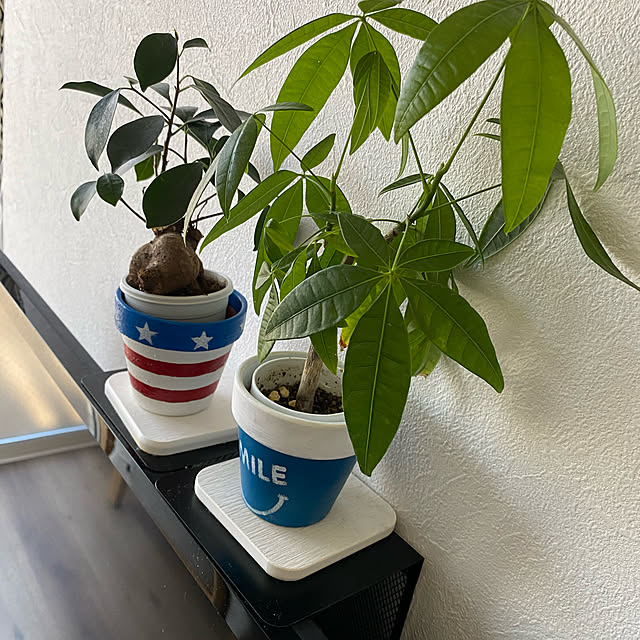 marsanさんの実例写真