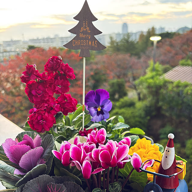 syutmmさんの部屋