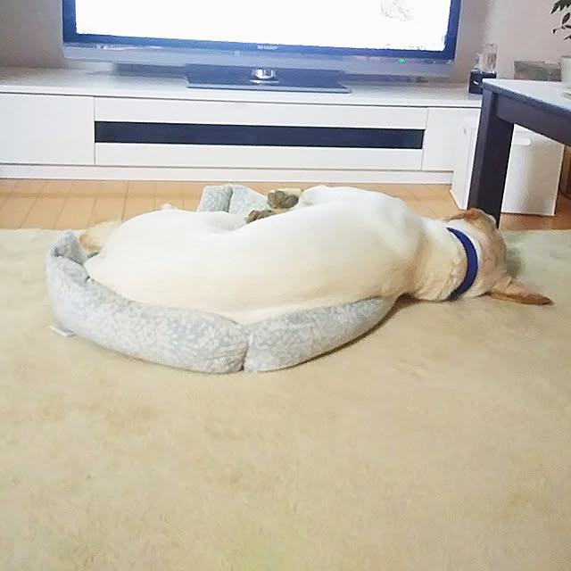 kaoriさんの実例写真