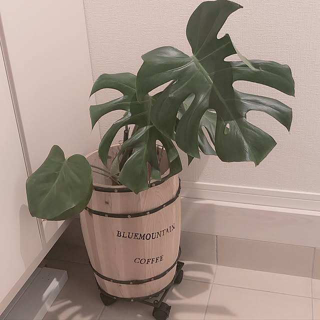 tomo5410さんの実例写真