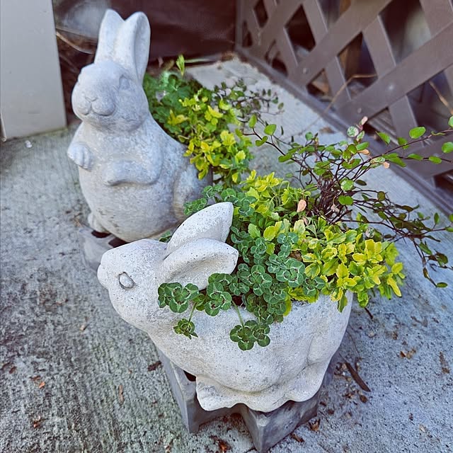 mocomocoさんの部屋