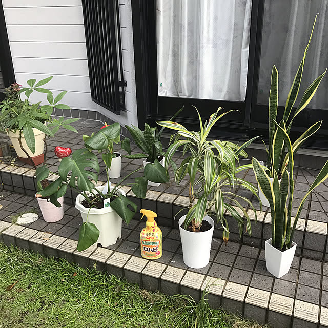 roseさんの実例写真