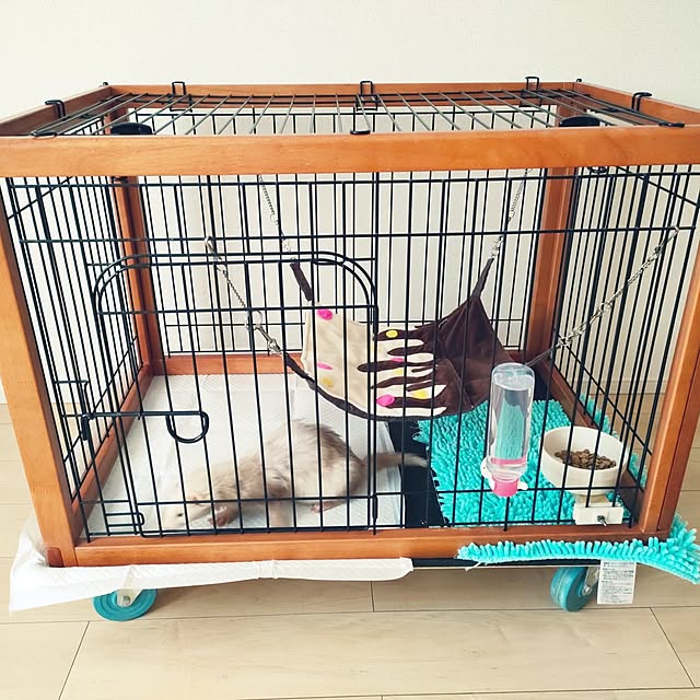 1103さんの実例写真