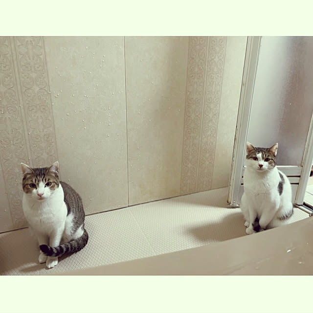 Lufuさんの実例写真