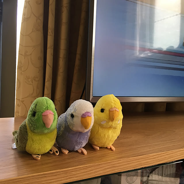 koroさんの実例写真