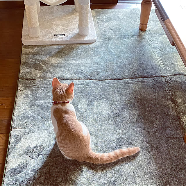 mintteaさんの実例写真