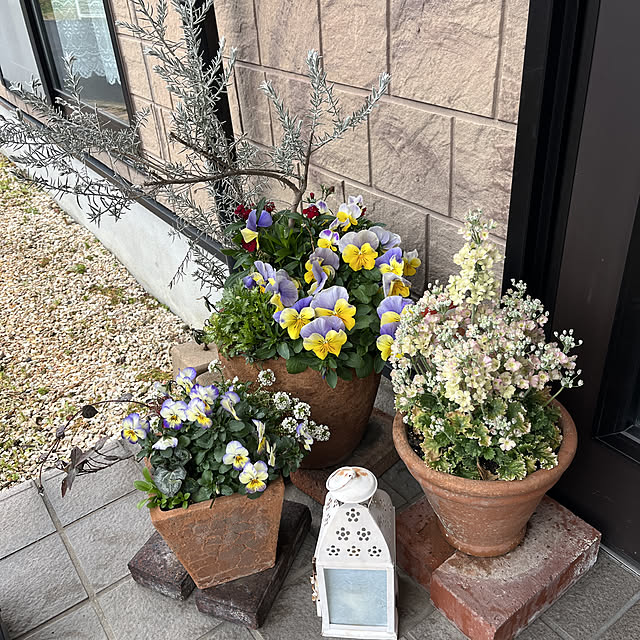 ritsukoさんの実例写真