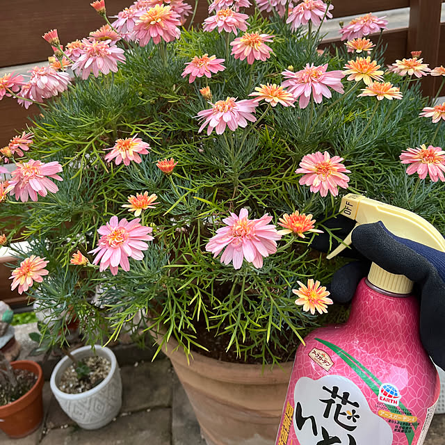 haruminさんの部屋