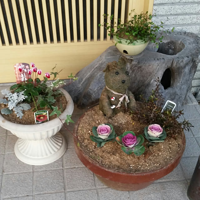 玄関/入り口/植物のインテリア実例 - 2017-12-28 22:40:41