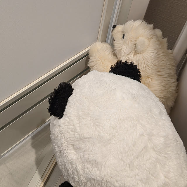 sinsinさんの実例写真