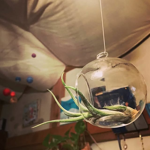 chiruchiruchiicoさんの実例写真