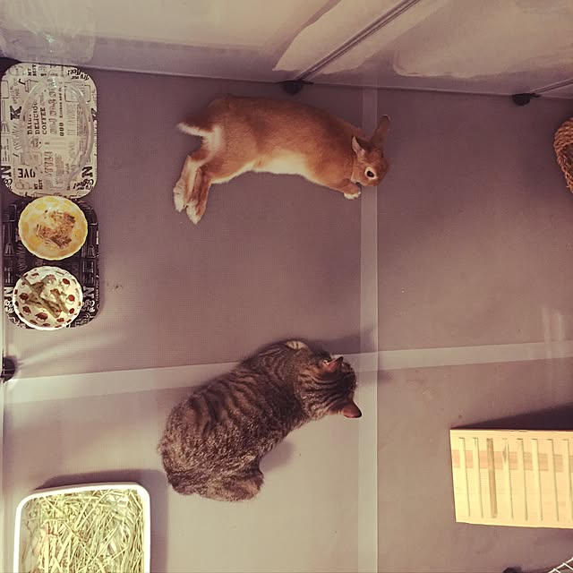 kanaさんの実例写真